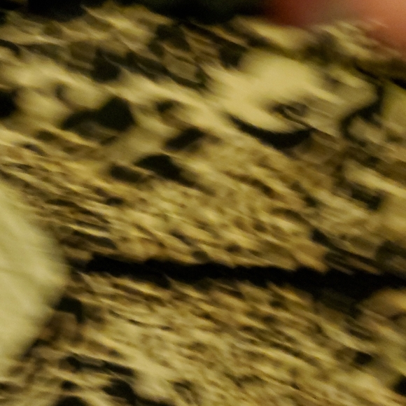 Animal Print sweater M 😍 - Picture 5 of 6